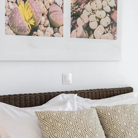 Litsa Malli Apartament *